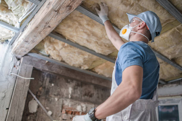 Best Local Insulation Services  in Fulton, KY