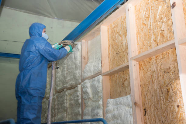 Best Attic Insulation Installation  in Fulton, KY